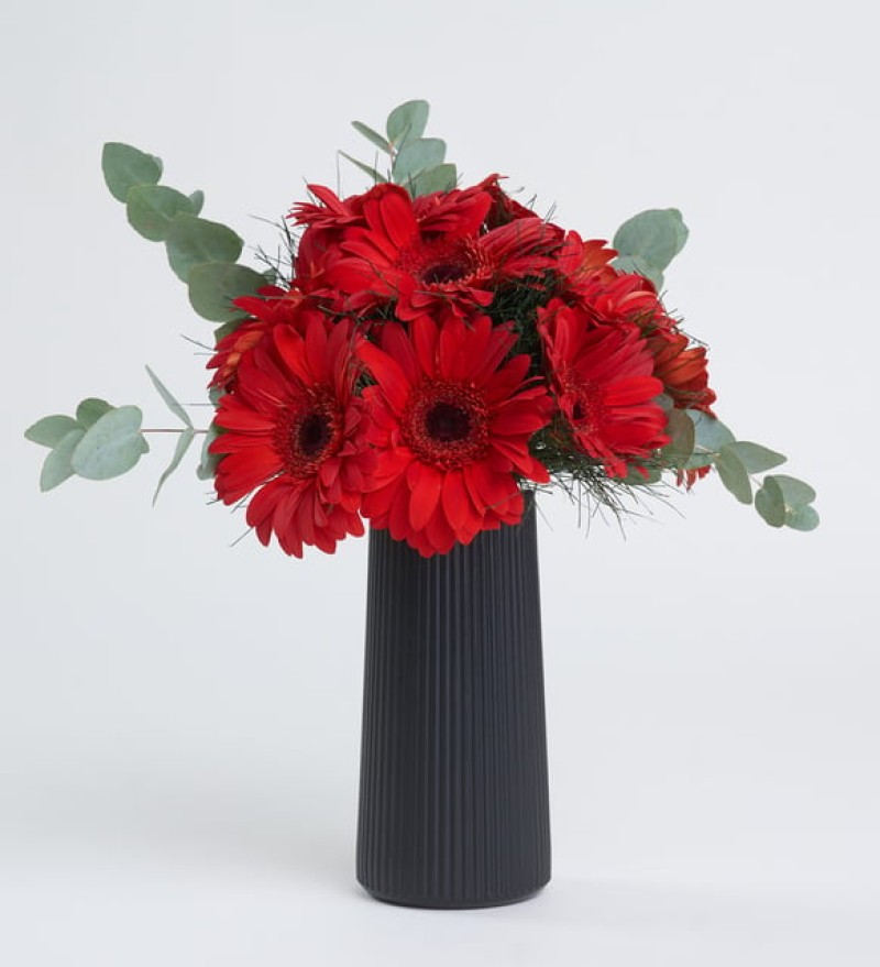 Siyah Çizgili Polimer Vazoda Kırmızı Gerbera Çiçekleri