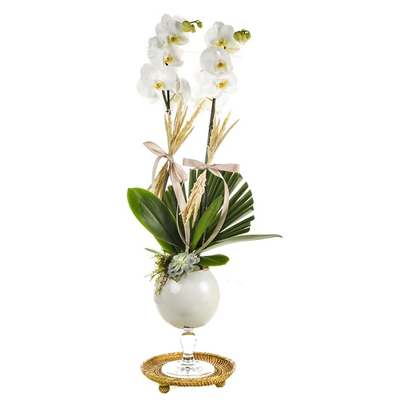 White Noble Orkide