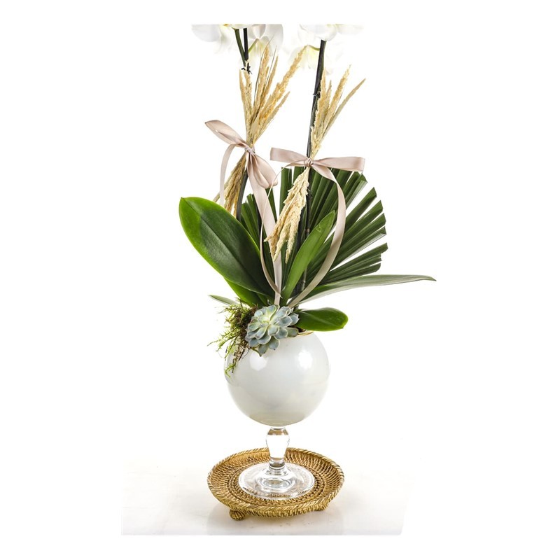 White Noble Orkide